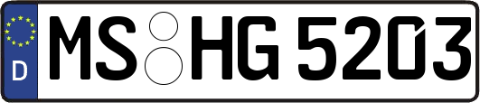 MS-HG5203