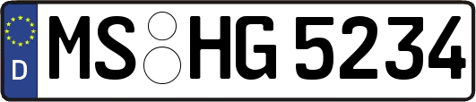 MS-HG5234