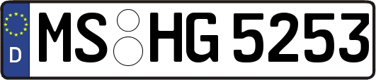 MS-HG5253