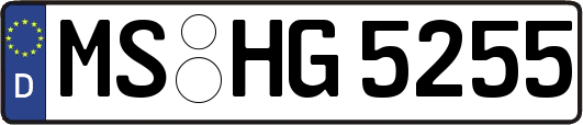 MS-HG5255
