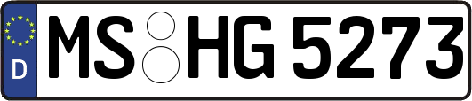 MS-HG5273