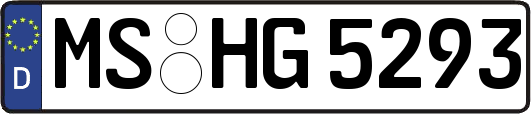 MS-HG5293