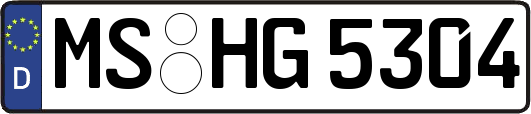 MS-HG5304