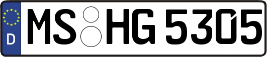 MS-HG5305