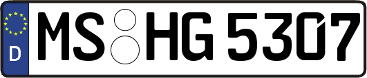 MS-HG5307