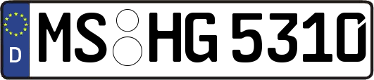MS-HG5310