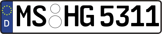 MS-HG5311