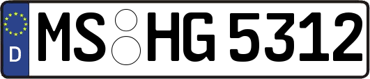 MS-HG5312