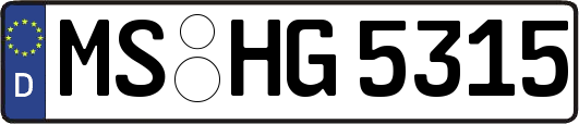 MS-HG5315