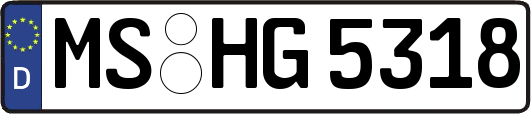 MS-HG5318