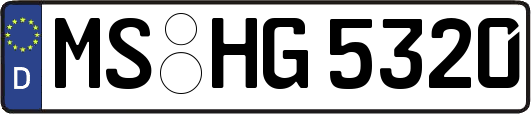 MS-HG5320