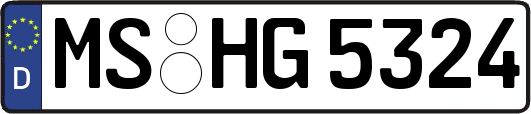 MS-HG5324
