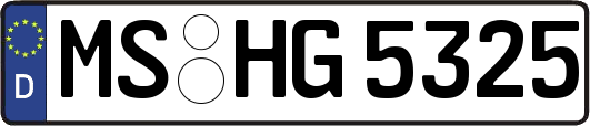 MS-HG5325
