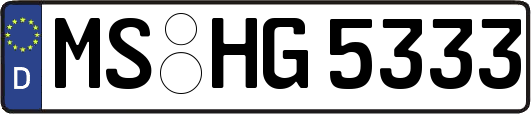 MS-HG5333