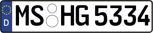 MS-HG5334