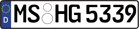MS-HG5339