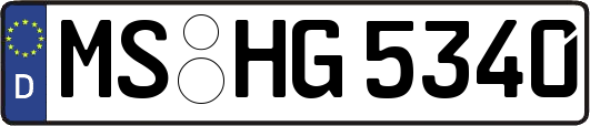 MS-HG5340