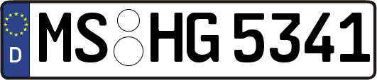 MS-HG5341