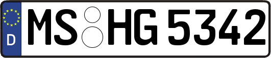 MS-HG5342