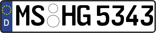 MS-HG5343