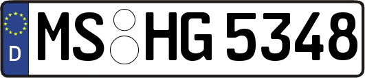 MS-HG5348