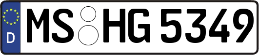 MS-HG5349