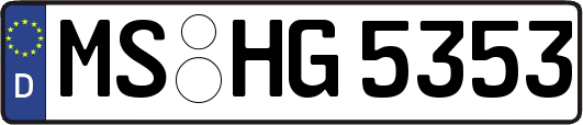 MS-HG5353
