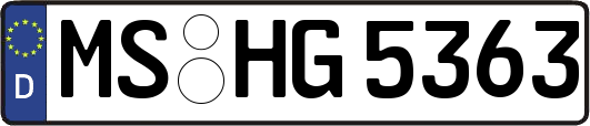 MS-HG5363