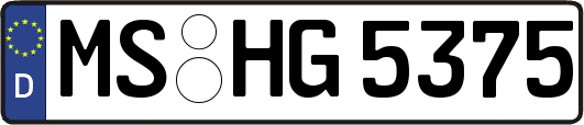 MS-HG5375