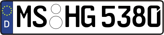 MS-HG5380