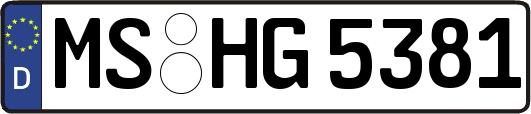 MS-HG5381