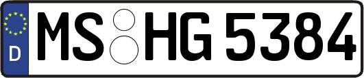 MS-HG5384