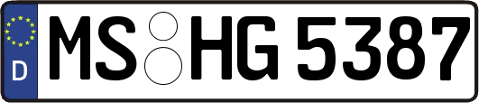 MS-HG5387