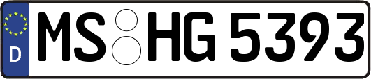 MS-HG5393