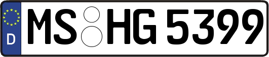 MS-HG5399