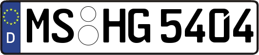 MS-HG5404