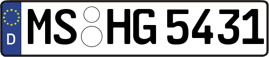 MS-HG5431
