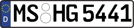 MS-HG5441