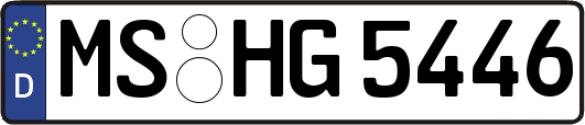 MS-HG5446