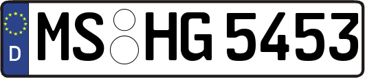 MS-HG5453