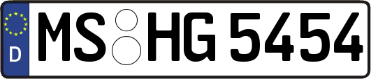 MS-HG5454