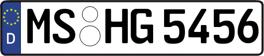 MS-HG5456