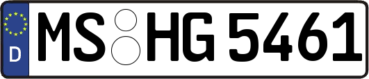 MS-HG5461