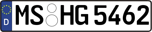 MS-HG5462