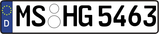 MS-HG5463