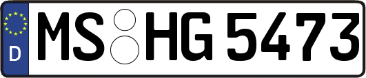 MS-HG5473