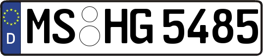 MS-HG5485