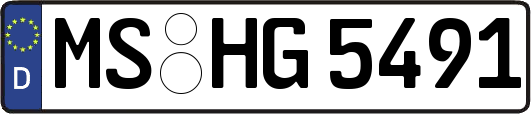 MS-HG5491