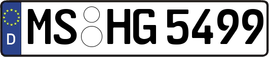 MS-HG5499