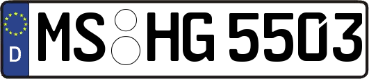 MS-HG5503